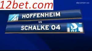 [Image: Hoffenheim1.jpg]