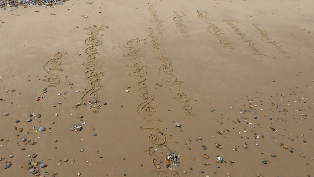 Star Trek Vulcan script calligraphy on the beach