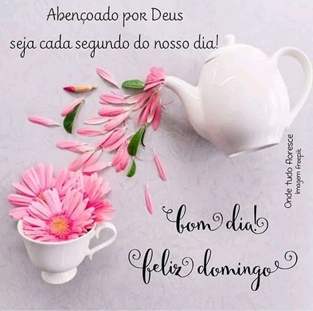 Feliz domingo