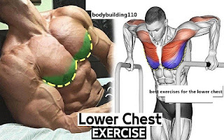 www.bodybuilding110.com