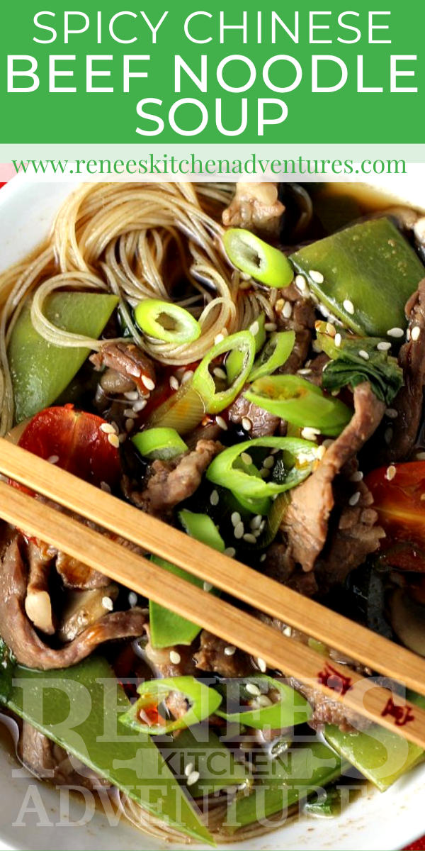 Spicy Chinese Beef Noodle Soup by Renee's Kitchen Adventures pin for Pinterest with overhead image of bowl of soup and text overlay