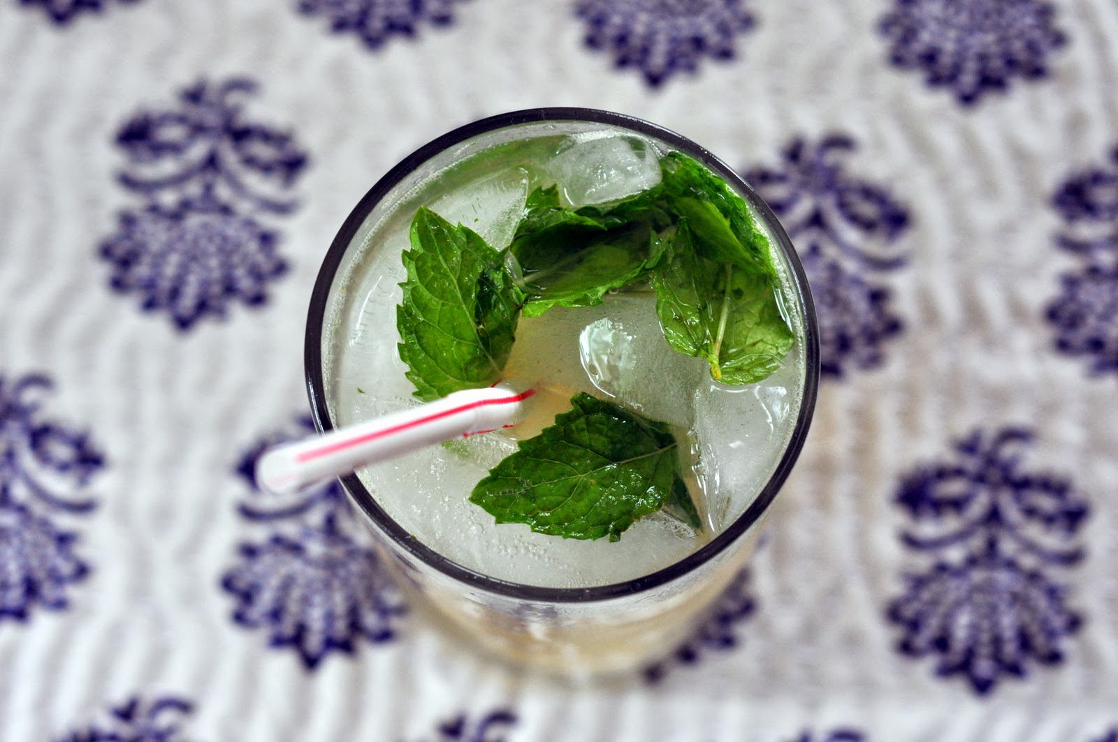 Ginger Mojito Mocktail