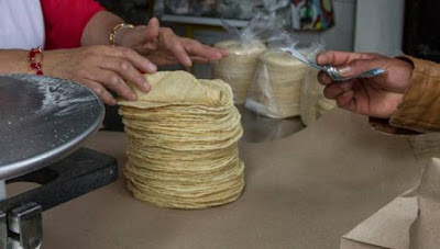 El precio de la tortilla podría aumentar a $60, si se aprueba ley contra maíz híbrido
