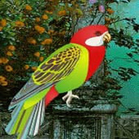 WowEscape-Fantasy World Parrot Escape