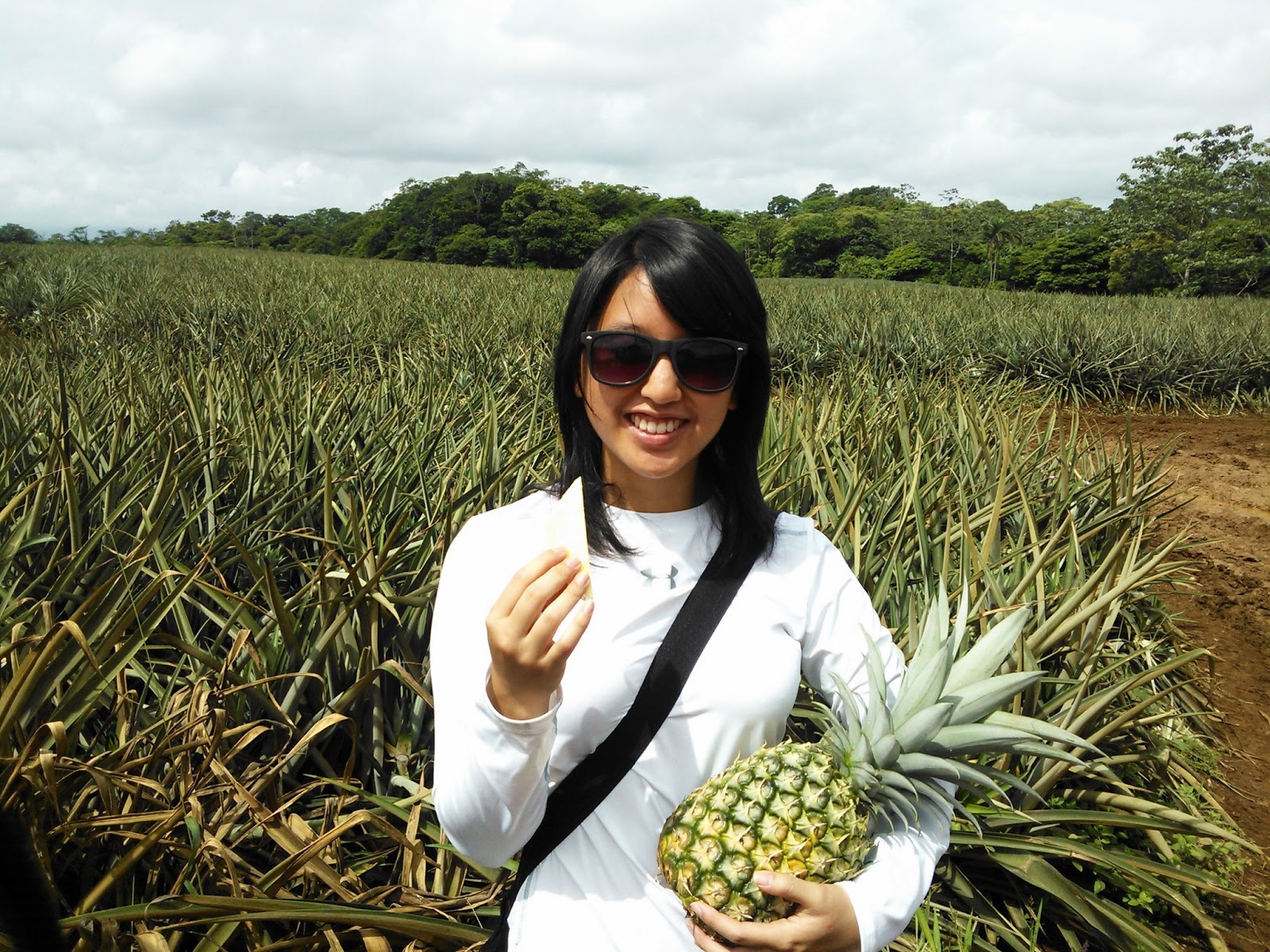 Costa Rica EARTH Unversity Corsicana Pineapple Farm!
