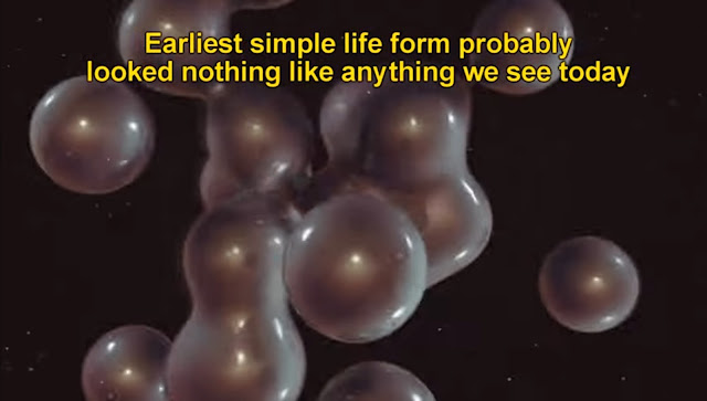 Earliest simple life form How did life begin? Abiogenesis Origin of life.