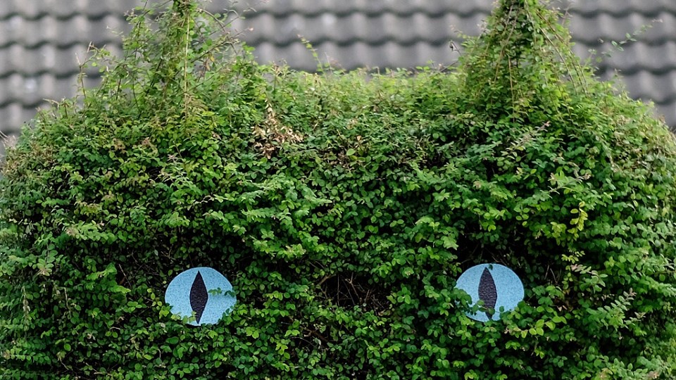 The Garden Bird The Art Of Hedge Trimming