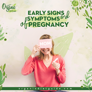 Having a Baby | What Happens During the Trimesters of Pregnancy?!