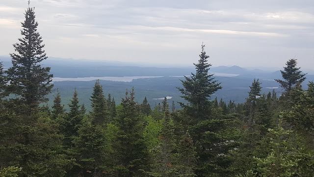 Vue à partir du belvedère Memphrémagog