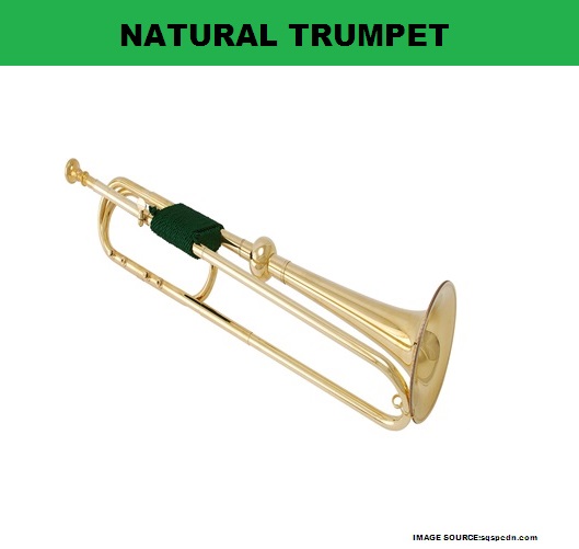 My Homeworks BRASS WIND INSTRUMENTNATURAL TRUMPET