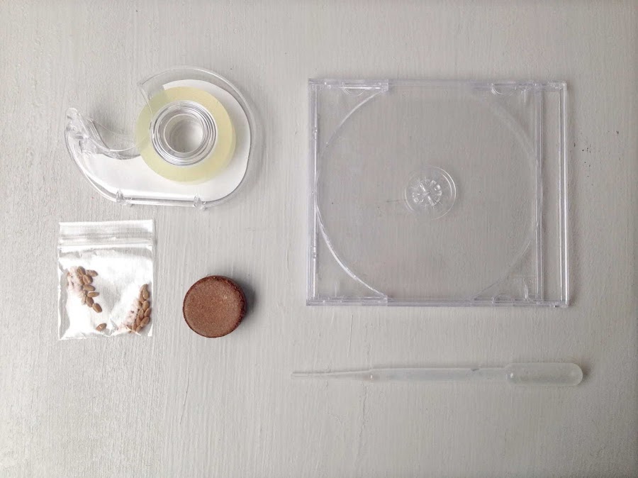 PROYECTO DE CIENCIA PARA NIÑOS MINI JARDIN SIEMBRA SEMILLAS