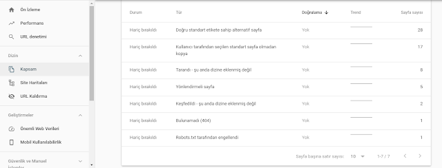 YENİ AÇILAN SİTE NE ZAMAN İNDEXLENİR