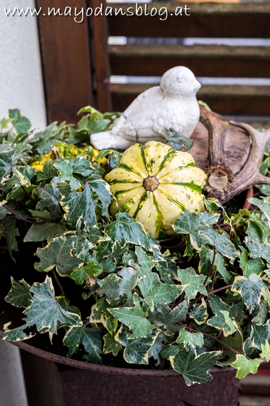 Bunter Herbst im Farbenfrohe Pflanz und Dekoideen