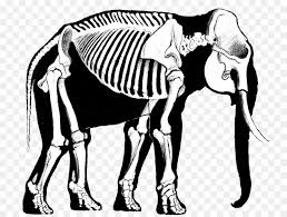 Jurnal Biologi : 2020