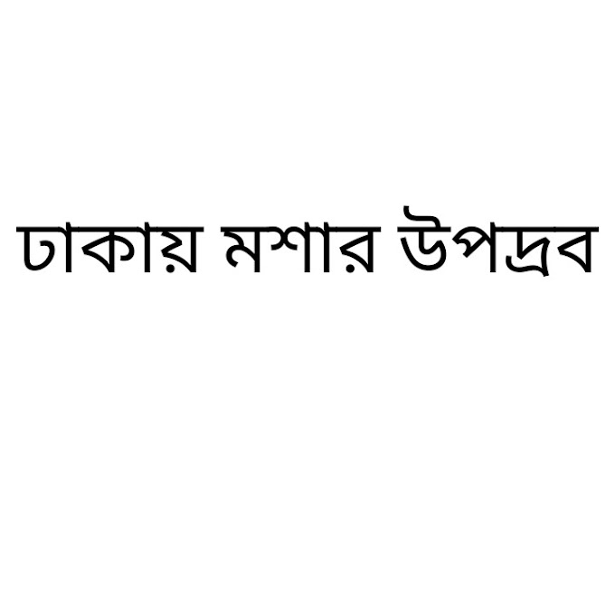 মশার উপদ্রব ঢাকায়