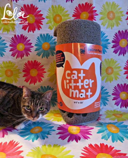 Smiling Paws Pets' Litter Mat Is Your Answer To A Messy Litterbox Area