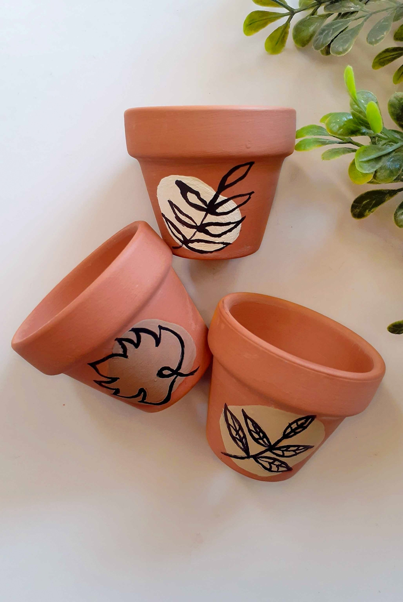 DIY Minimal Terracotta Pot Makeover Opal Crown
