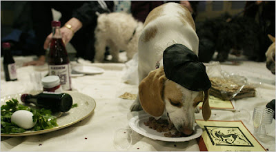 Dog Food Kosher Passover