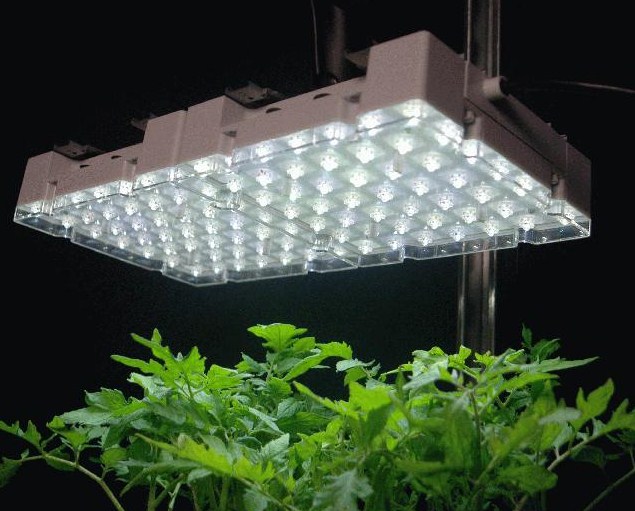Growers Choice Lights Choose the Best Led Grow Lights for Indoor Plants
