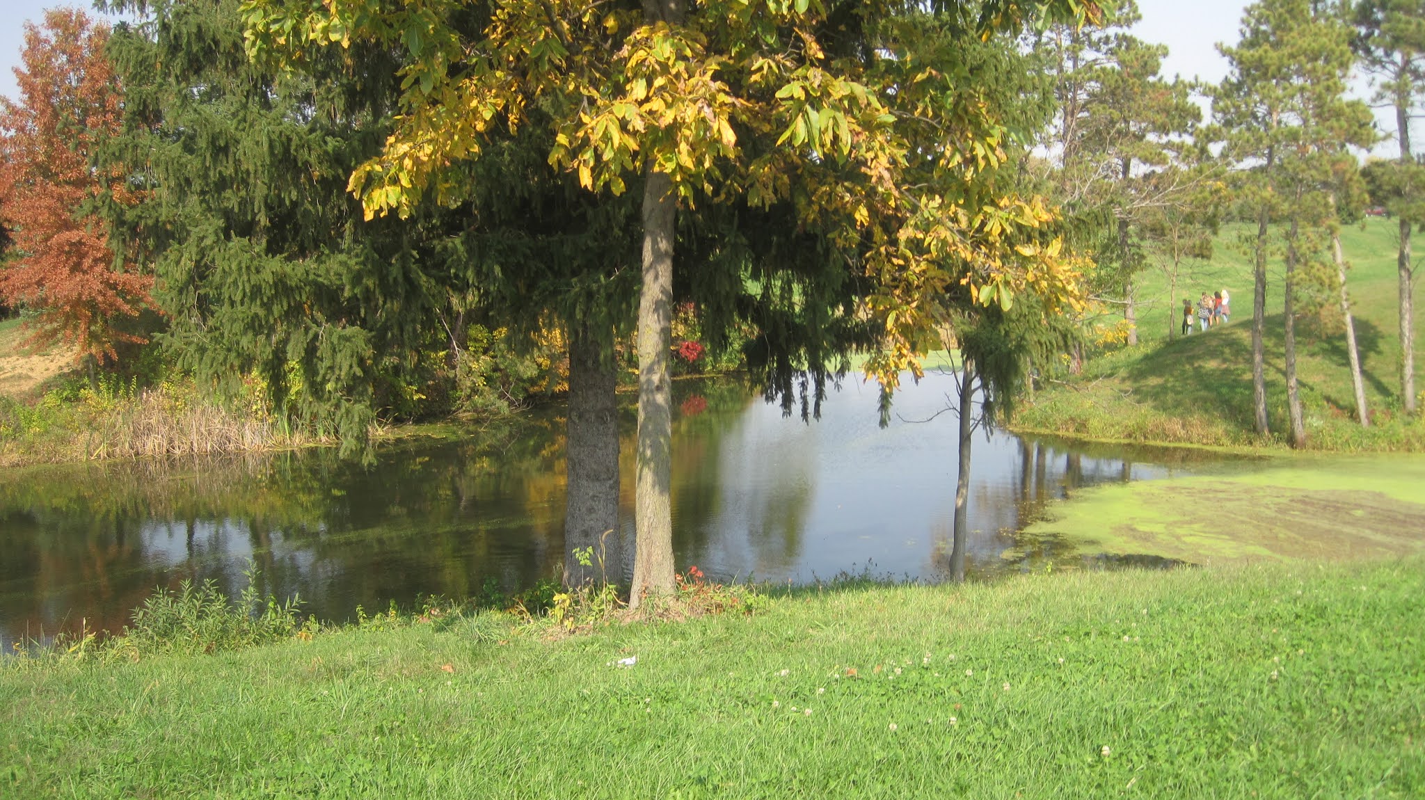 Rita's Sew Fun Stone's Apple Orchard