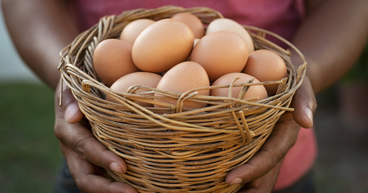 9 SURPRISING FACTS ABOUT EGGS YOU MIGHT BE GETTING WRONG Jet Club