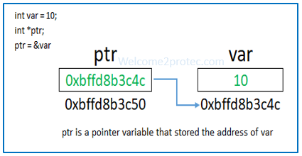 What is indirection * operator in C | welcome2protec