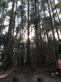 Manali Nature park