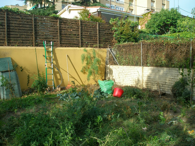 Oikos diseñando paraisos