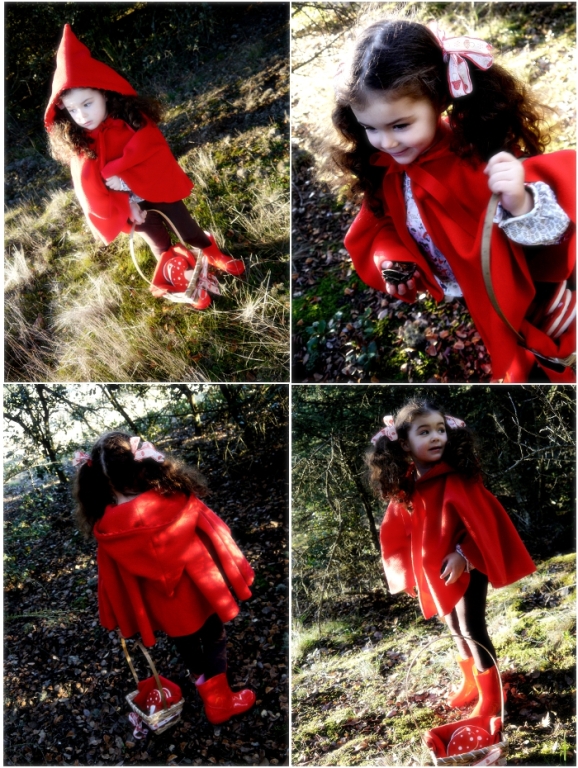 A Little Red Riding Hood Birthday Party Ideas Party Printables Blog