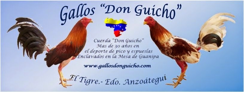 Gallos "Don Guicho"