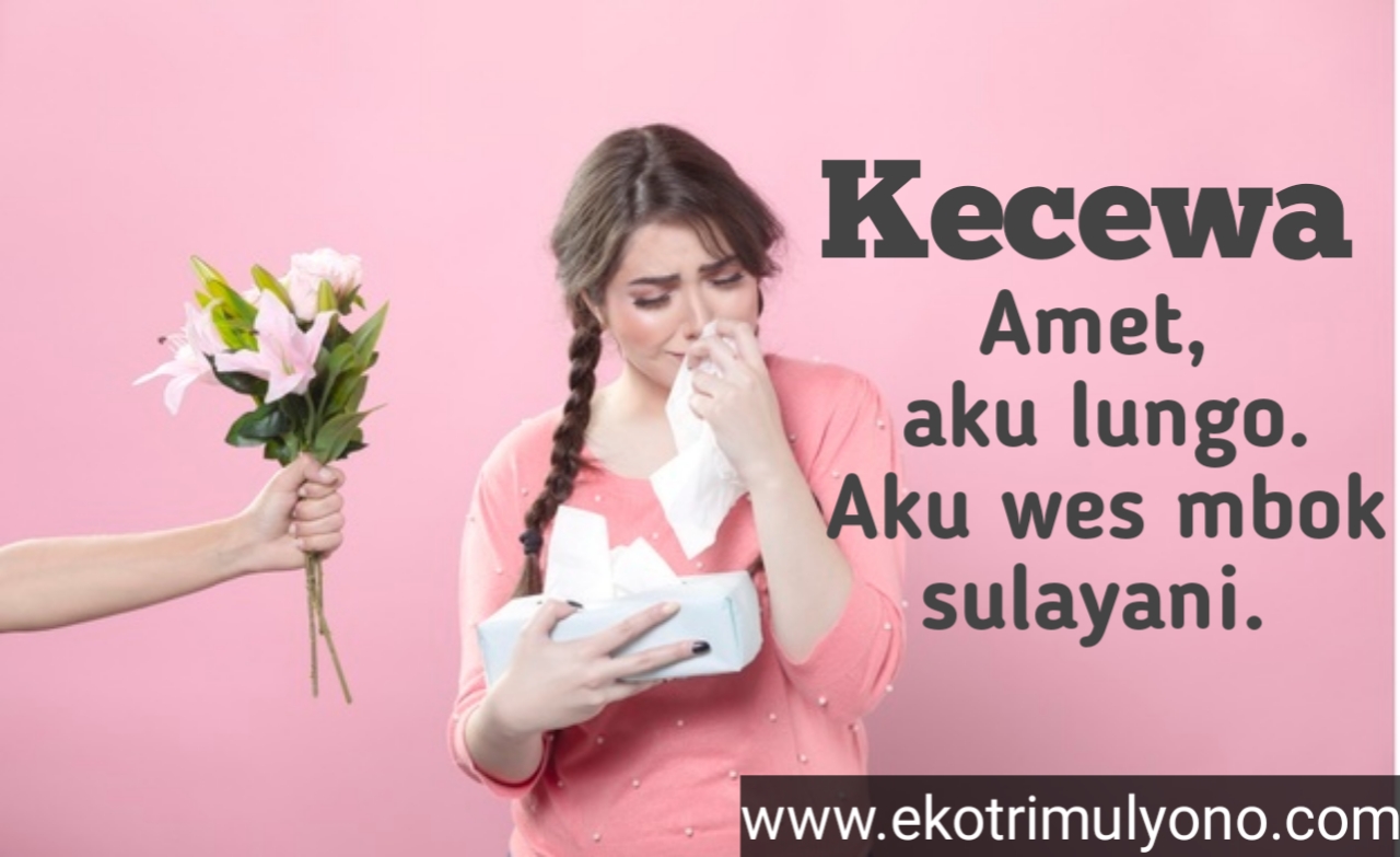 Kata Kata Kecewa Bahasa Jawa Yang Ambyar Banget