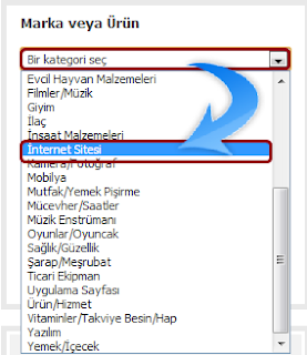 1 No'lu seçenek İnternet Sitesi kategori seçimi