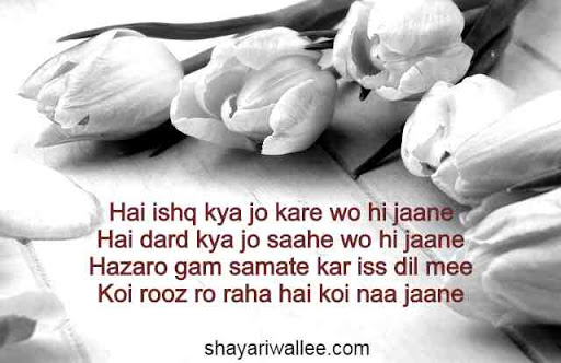 ishq 2 line shayari in hindi