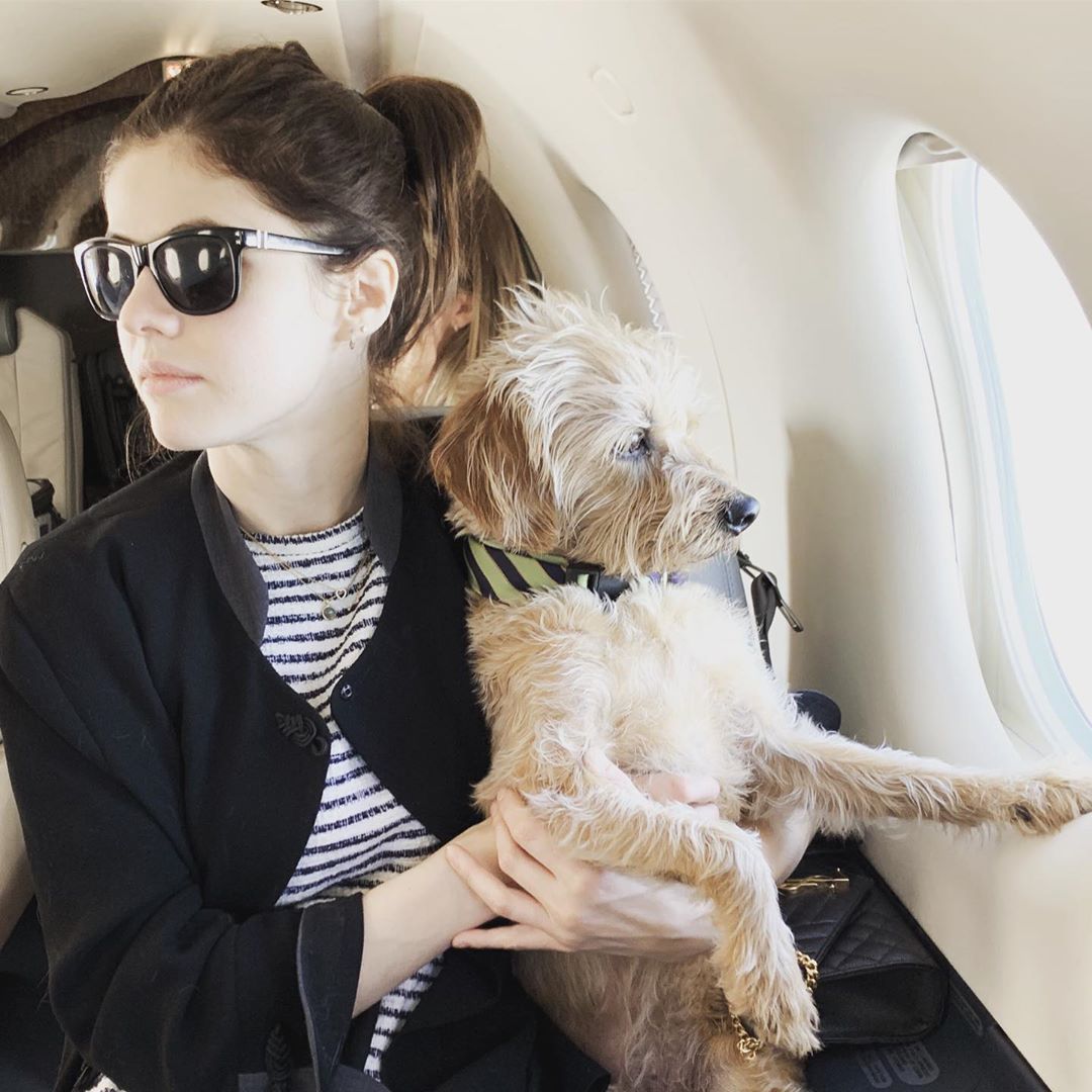 Alexandra Daddario Social Media 2019