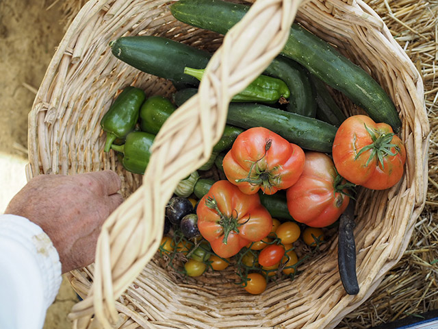 Castelfalfi Castelfalfi