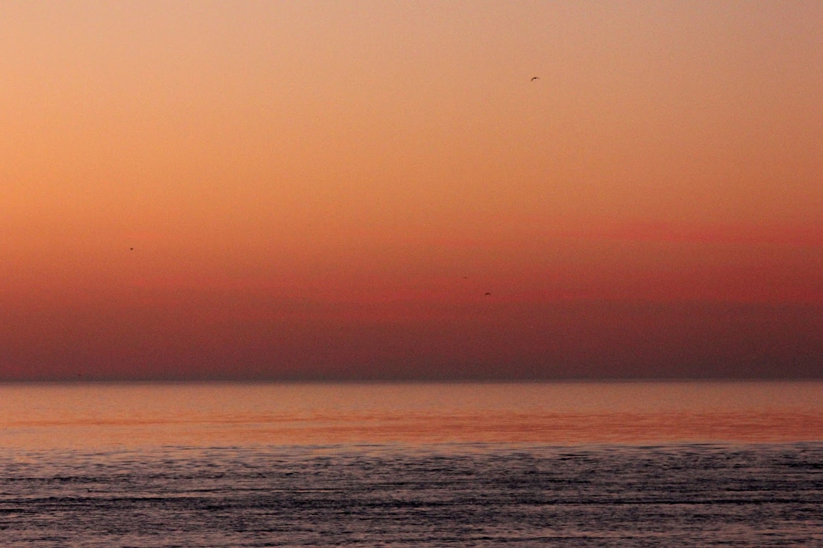 Here and There Day 282 8th October 2016 Boar's Head Light and Sunset