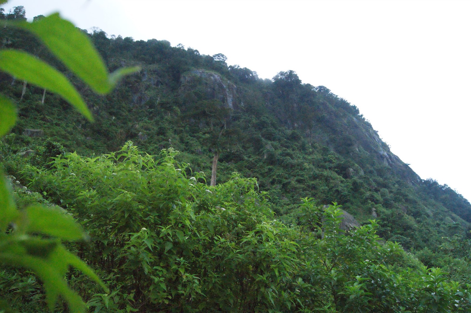 Cerita Kita: Gunung Jimat, Pesona Alam yang Terlupakan