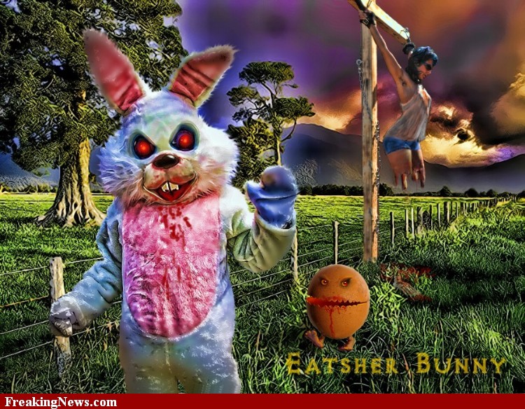 The David Wilcox Story