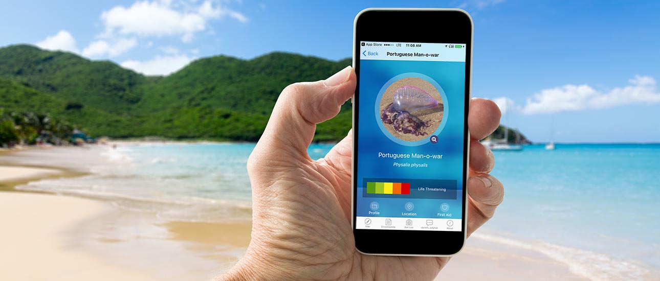 Jellyfish Safety Is Now In Your Hands