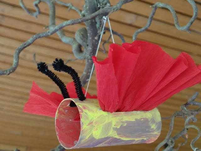 Schmetterlings Spezial im kidsweb 