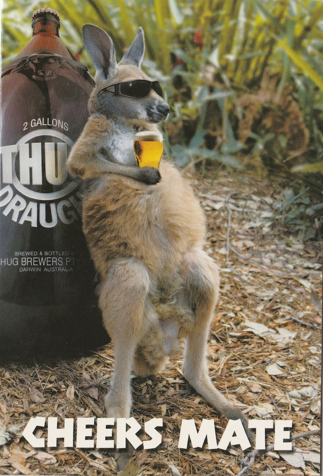 johan postcards AUSTRALIA Cheers Mate.