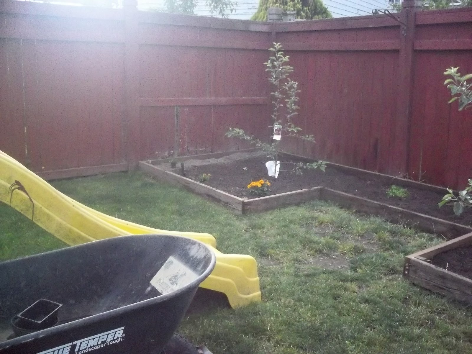 Story of My Life: June 2013