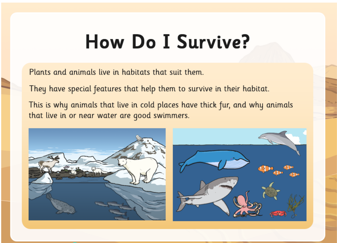 year-1-habitats-and-survival