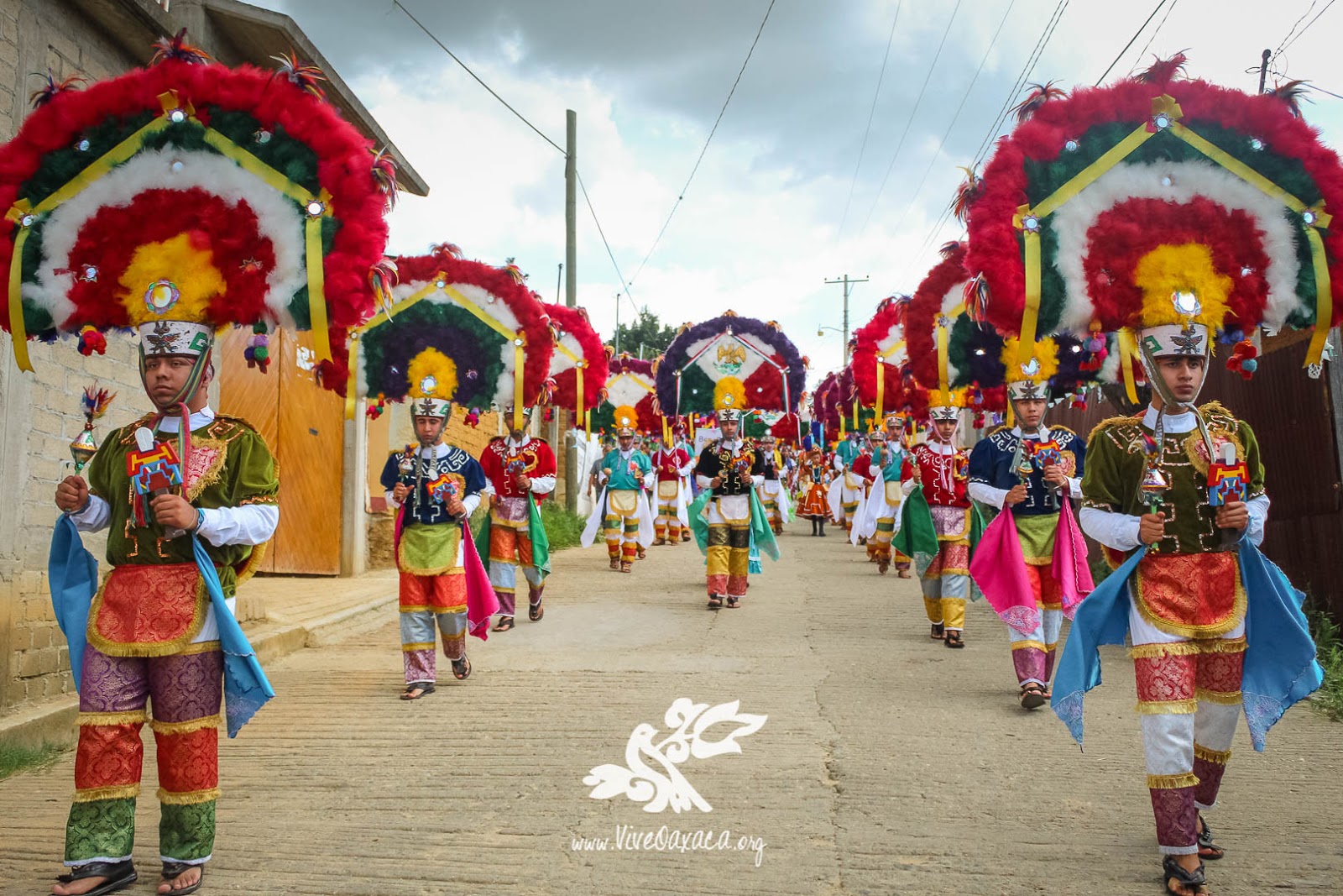 Encuentro de Danza de la Pluma 2019 en la Fiesta Patronal de Atzompa, Oax Galería Vive Oaxaca Encuentro de Danza de la Pluma 2019 en la Fiesta Patronal de Atzompa, Oax Galería Vive Oaxaca