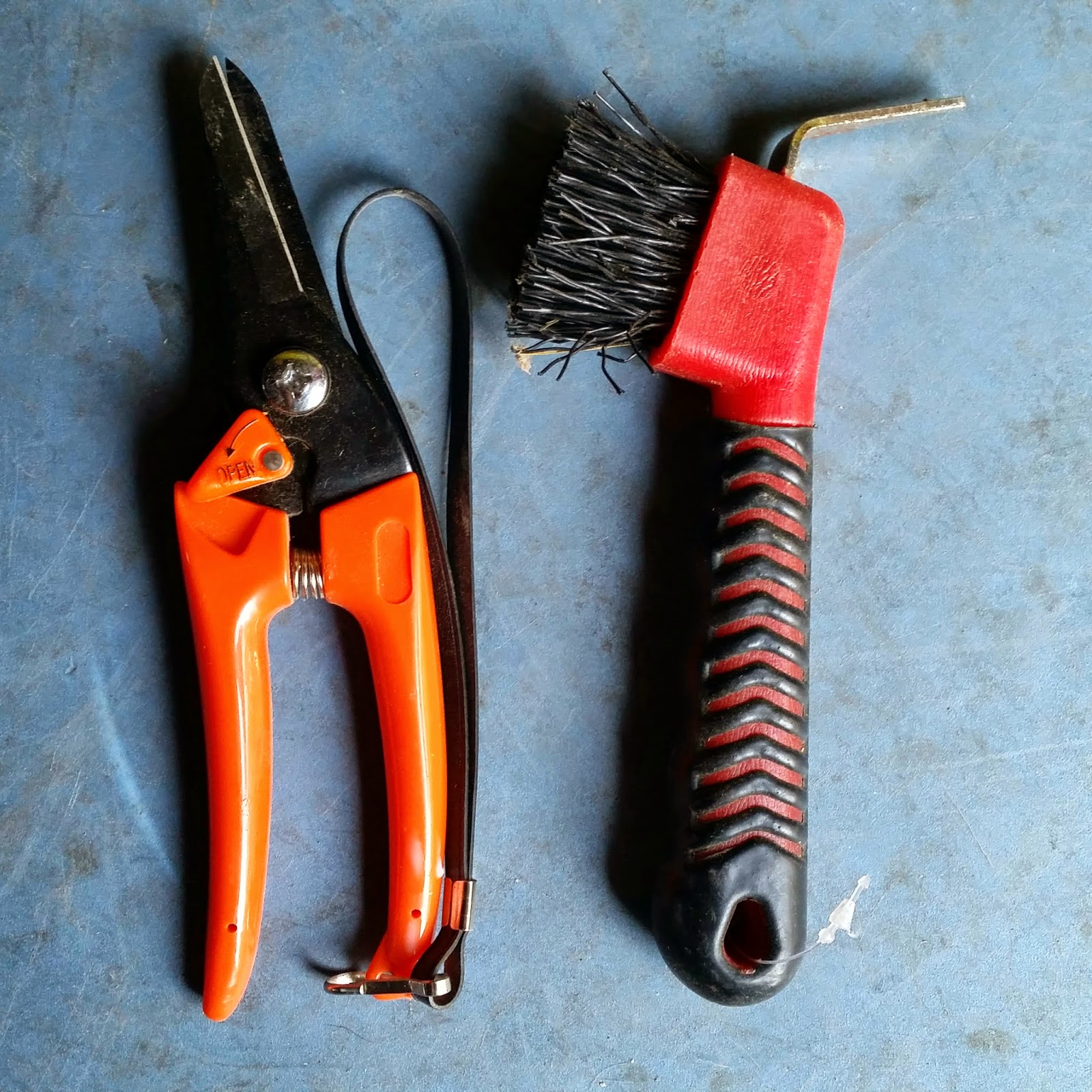 Still Waters Farm Goat Hoof Trimming (it's easier than it looks)