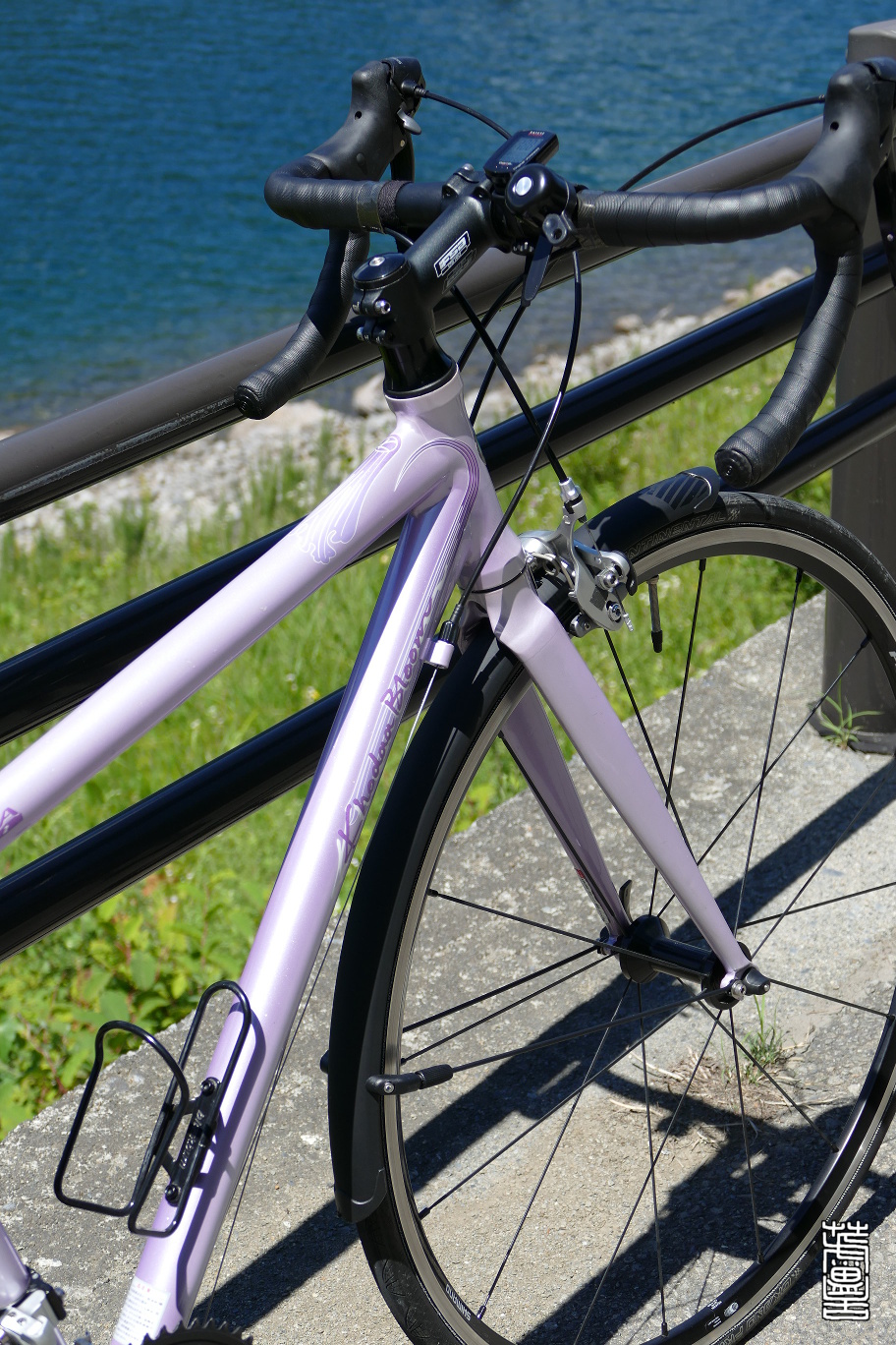 lifeline narrow road mudguard set