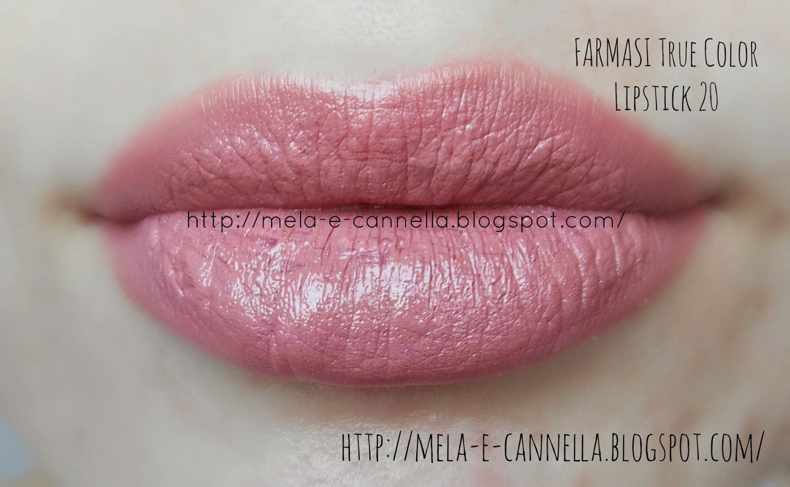 mela-e-cannella: FARMASI True Color Lipstick 5 - Nude Velvet