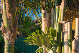 11 Contoh Koan-Koan Zen Budhisme