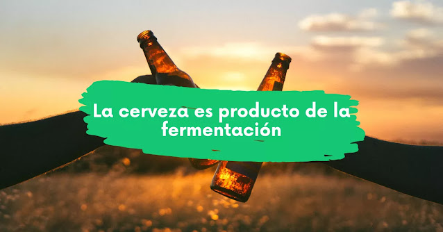 cerveza