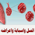 ما هو مرض السل أعراضه وأسبابه وعلاجه ما هو مرض السل أعراضه وأسبابه وعلاجه